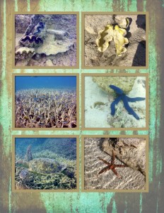 Australia - Page 034