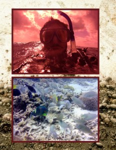 Australia - Page 036