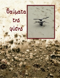 Australia - Page 037